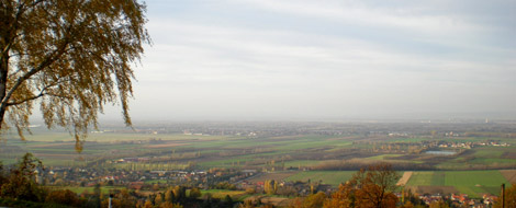 Tullnerfeld